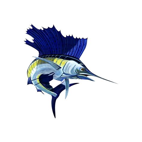 sailfish vibrant|sailfish USA